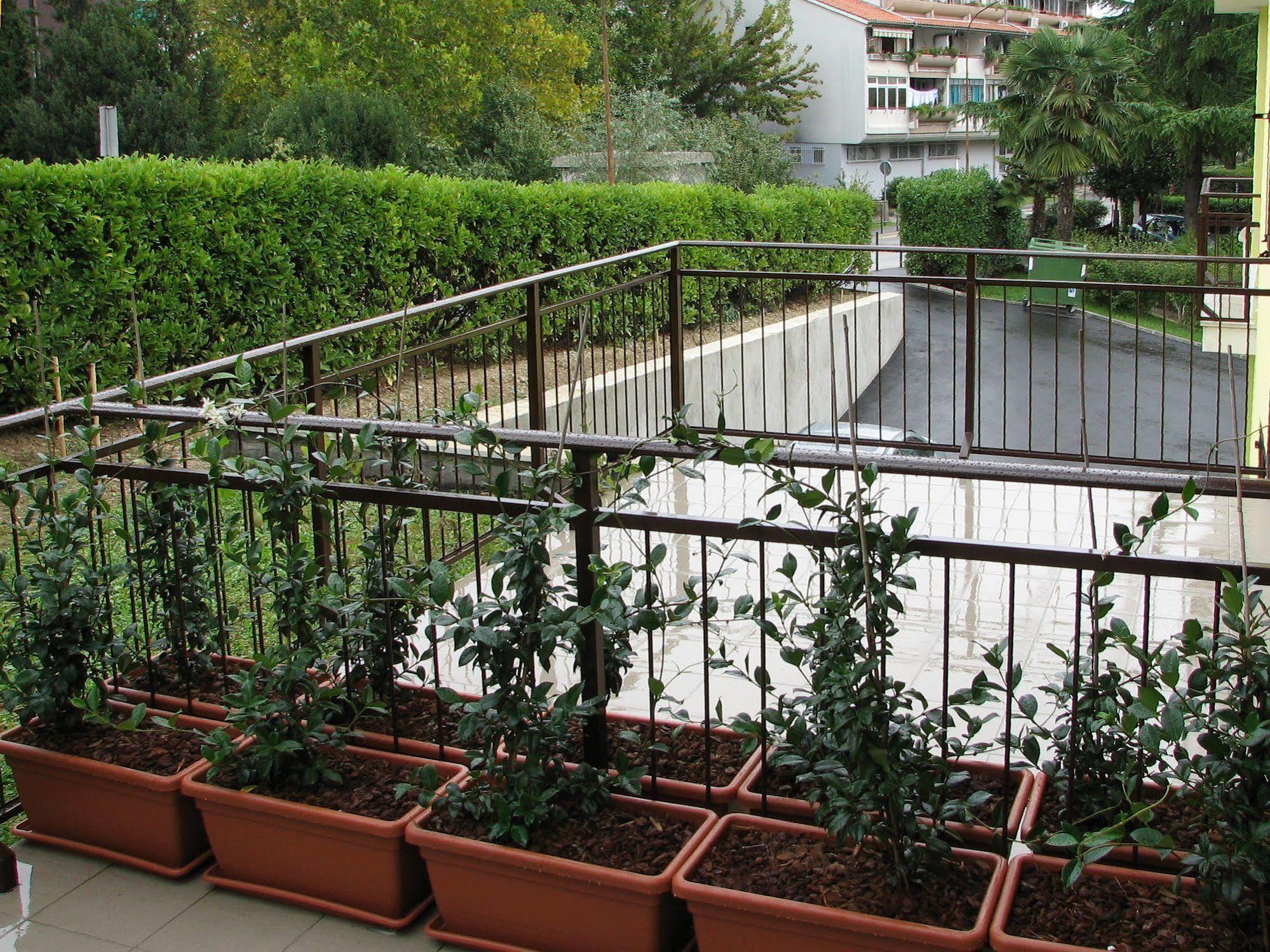 Garni Hotel Keltika Izola Bagian luar foto
